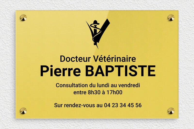 plaque Plexiglass - 300 x 200 mm - ppro-job-veterinaire-010-1