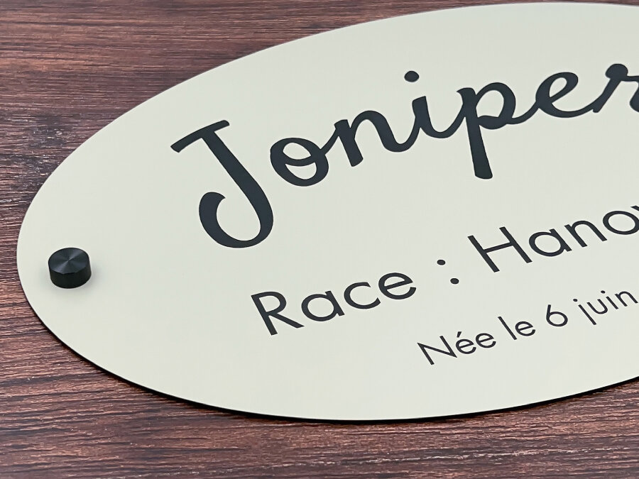 Plaque De Porte Personnalisée Pour Cheval Ou Poney - Nom « BLAZE » - Fabriquée Au UK